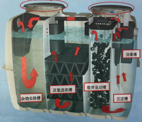 净化槽