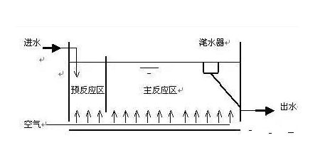 CASS工艺